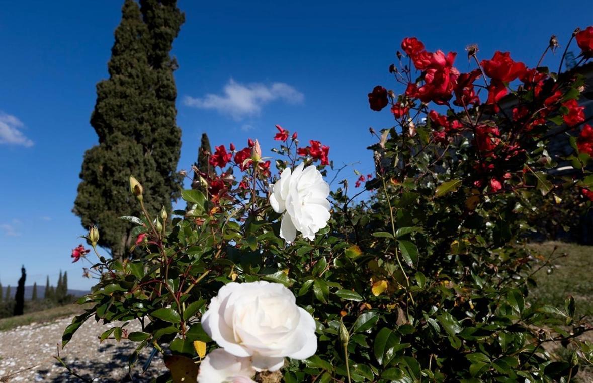 Agriturismo Il Ghiaccio Suvereto Extérieur photo